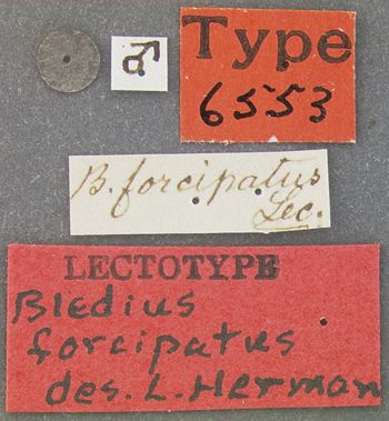 Media type: image;   Entomology 6553 Aspect: labels